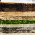 56b38b52-411a-46a9-b8dc-dd98361f2142